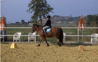 lezioni di equitazione a Castiglione.jpg